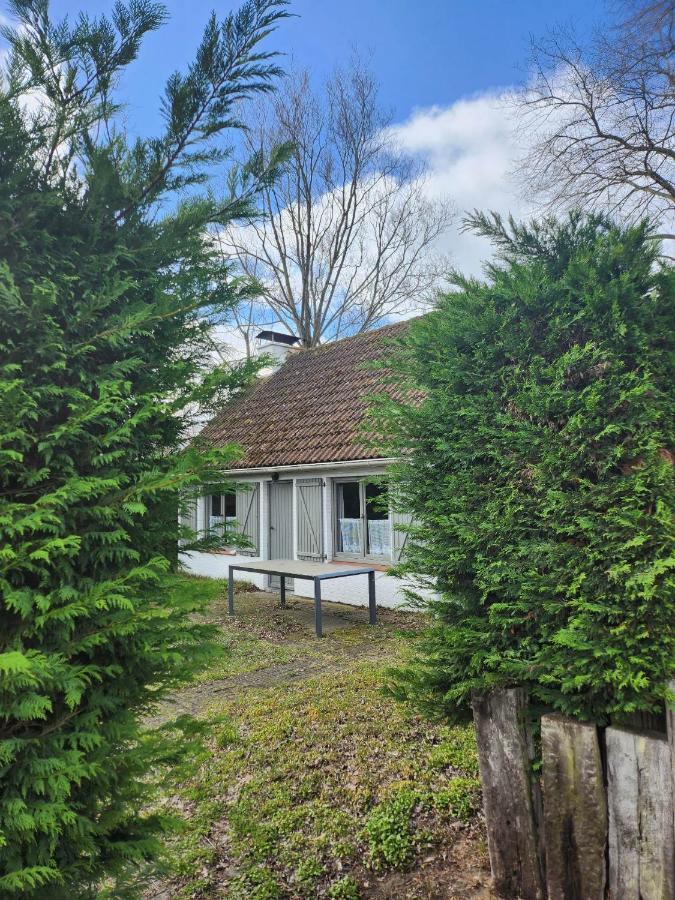 Maison Sunpark Oostduinkerk 550 Villa Koksijde Bagian luar foto